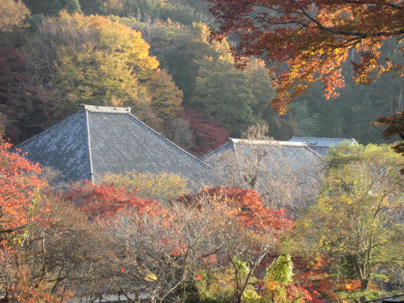 玉澤妙法華寺の秋