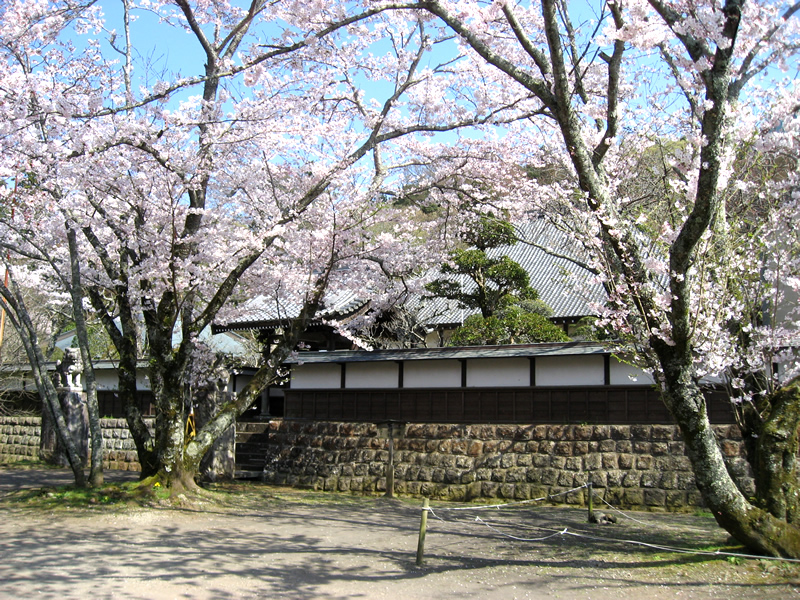 玉澤妙法華寺の春