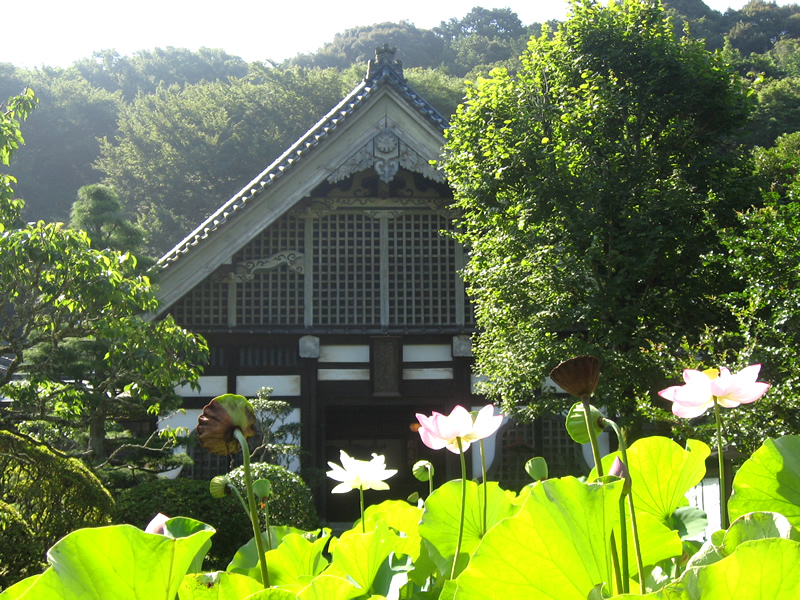 玉澤妙法華寺の夏