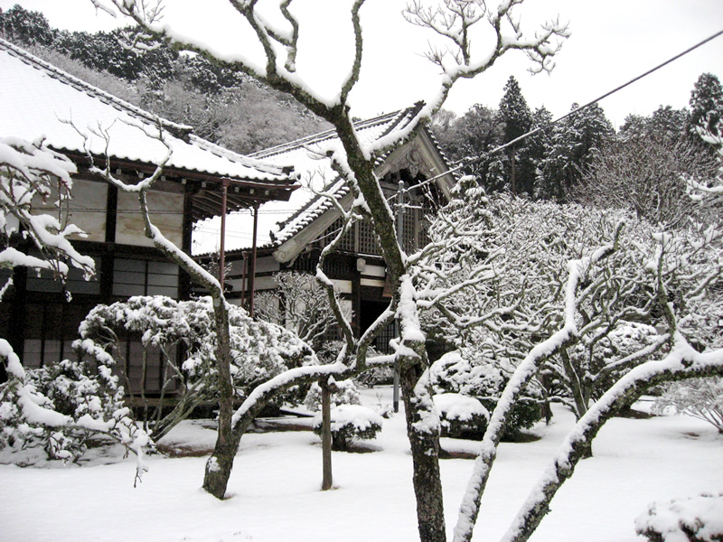 玉澤妙法華寺の冬